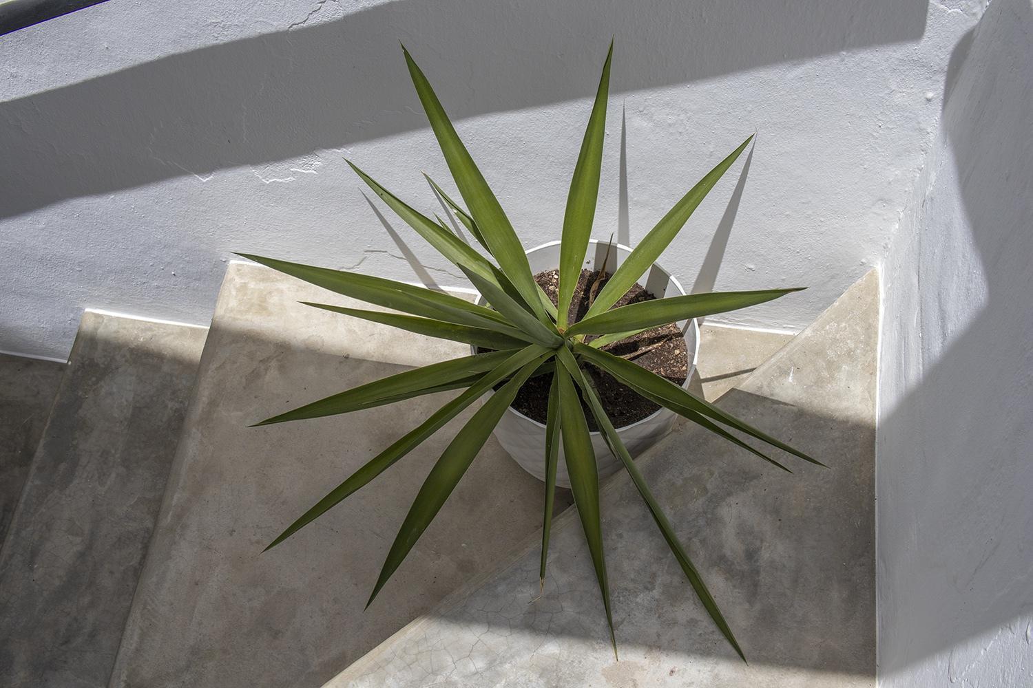 Casa Jardin Competa Panzió Kültér fotó